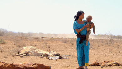 Photo of Засуха в странах Африканского Рога: миллионам может грозить голодная смерть