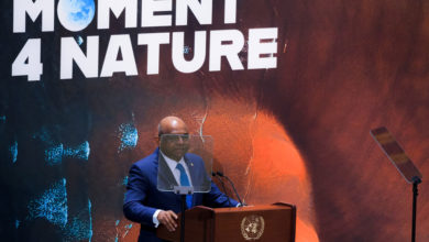 Photo of ‘Moment for Nature’ essential to beat back threats, spur climate action