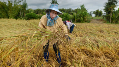 Photo of UN and partners meet to address ‘critical’ state of global food crisis